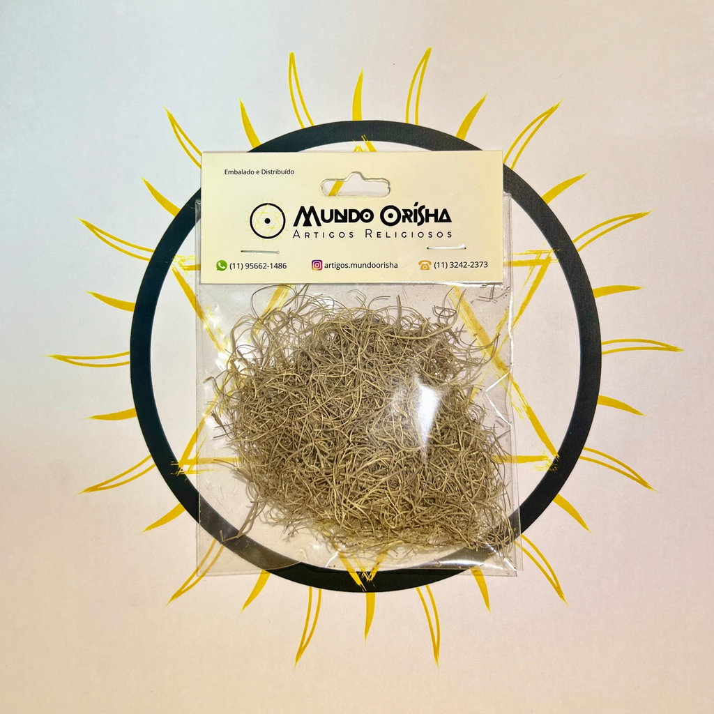BARBA DE VELHO - ERVAS SECAS