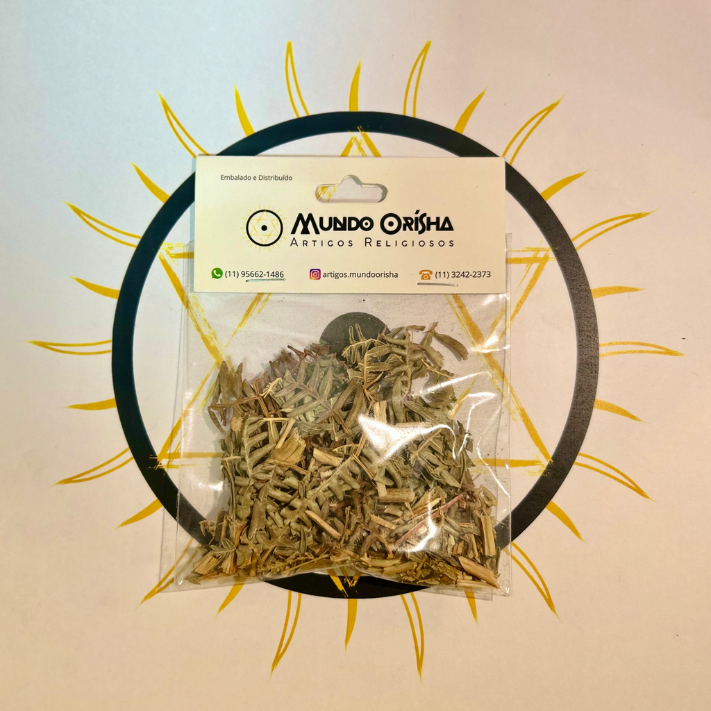 SAMAMBAIA - ERVAS SECAS